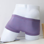 Load image into Gallery viewer, Wholesale Ice Boxer Trunks Underwear For Mens
