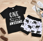 Load image into Gallery viewer, Baby Toddler Boy Tee And Short Sets Outfit Online Supply
