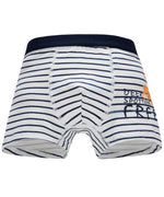 Load image into Gallery viewer, Kids Boys Cotton Basic Stripe Underwear Online Shop
