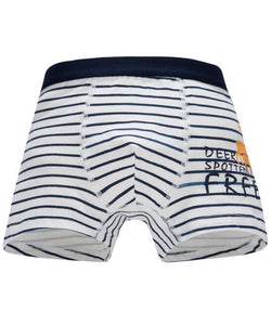 Kids Boys Cotton Basic Stripe Underwear Online Shop