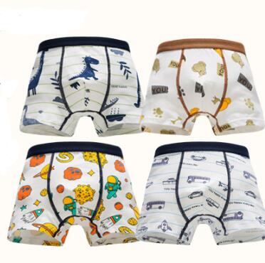 Kids Boys Cotton Print Basic Underwear Online Shop