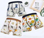 Load image into Gallery viewer, Kids Boys Cotton Print Basic Underwear Online Shop
