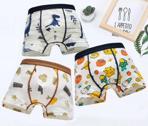 Kids Boys Cotton Print Basic Underwear Online Shop