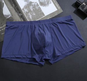 Men's Ice Boxer Basic Briefs Underwear Wholesale