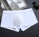Load image into Gallery viewer, Men&#39;s Ice Boxer Basic Briefs Underwear Wholesale
