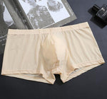 Load image into Gallery viewer, Men&#39;s Ice Boxer Basic Briefs Underwear Wholesale
