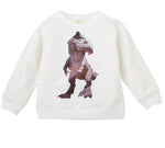 Load image into Gallery viewer, Print Dinosaur Sweaters Online Wholesale
