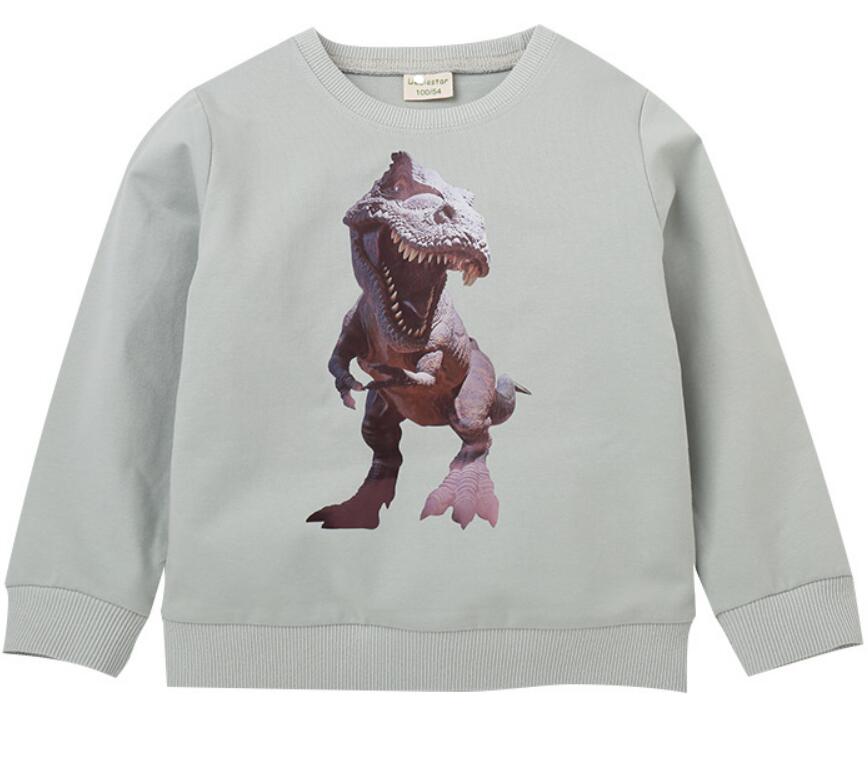 Print Dinosaur Sweaters Online Wholesale
